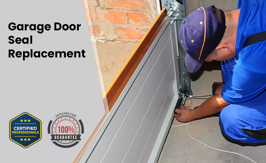 Garage Door Seal Replacement in Spring Valley, NV